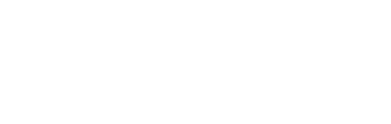 BRANDSTAD CONSULTING