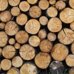 5 Rs of turning your business Green